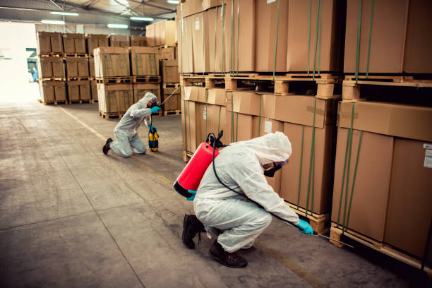 Wasp Removal Services in Broad Creek, NC