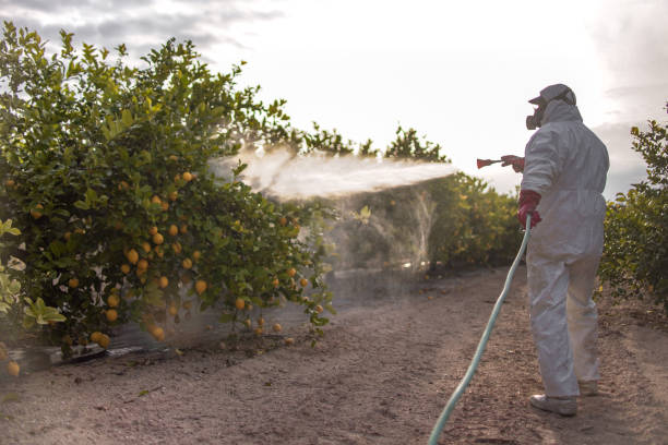 Best Emergency Pest Control  in Broad Creek, NC